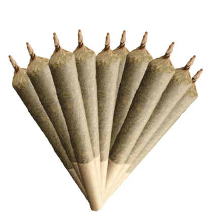 INDICA 20% PLUS PRE-ROLLS (ROTATIONAL)