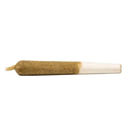 PEACH RINGZ INFUSED PRE-ROLLS
