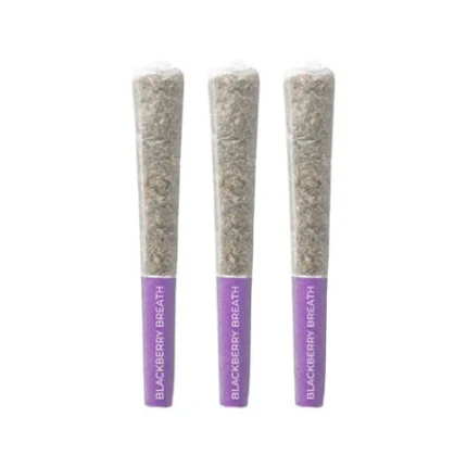 BLACKBERRY BREATH PRE-ROLL (PURPLE PUNCH X BLACK CHERRY PIE)