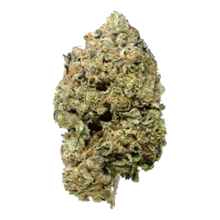 PINK GOO (GRANDDADDY PURPLE X GRAPE APE X NORTHERN LIGHTS# 5)