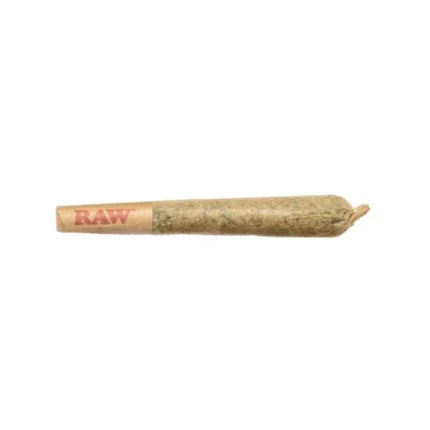 GLUERANGUTAN PRE-ROLLS (Harambe BX)