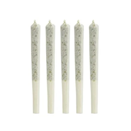 ORGANIC COMATOSE PRE-ROLLS