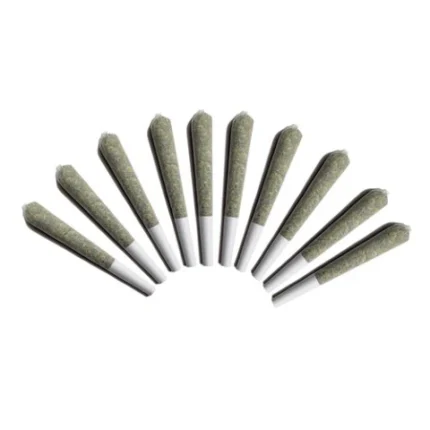 MIX N MATCH VARIETY PACK LTO