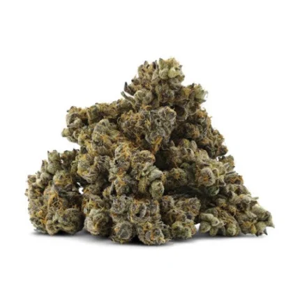 PINK FIRE LTO