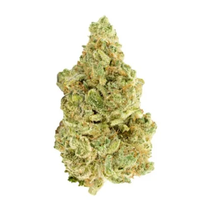 WHITE WIDOW